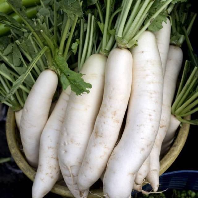     			Jignisha Seeds Hybrid White Radish Vegetable ( 500 Seeds )