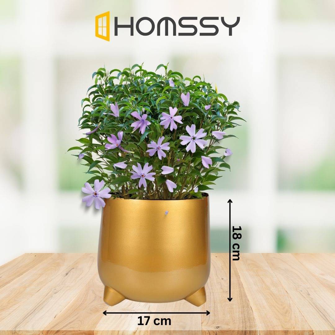     			HOMSSY Gold Flower Pot ( Pack of 1 )
