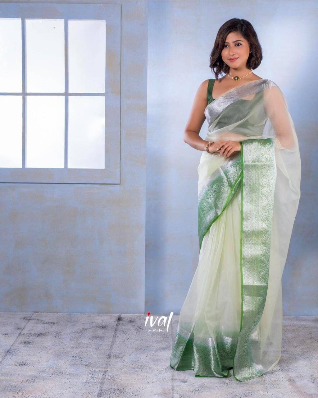     			Pheasant Jacquard Woven Saree With Unstitched Blouse Piece ( Green )