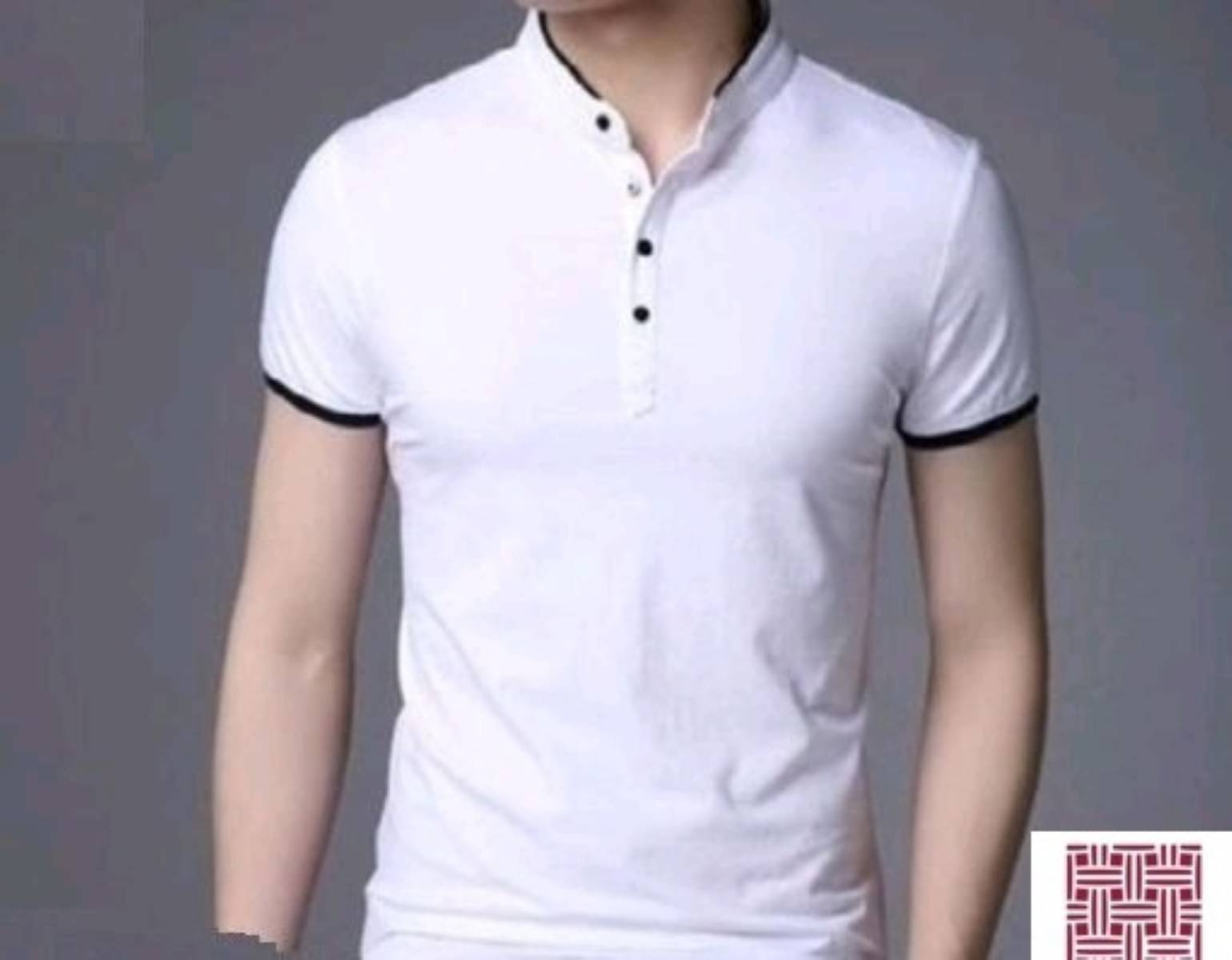 Alexender Cotton Blend Regular Fit Solid Half Sleeves Men's Mandarin Collar T-Shirt - White ( Pack of 1 ) Alexender Cotton Blend Regular Fit Solid Half Sleeves Men's Mandarin Collar T-Shirt - White ( Pack of 1 )