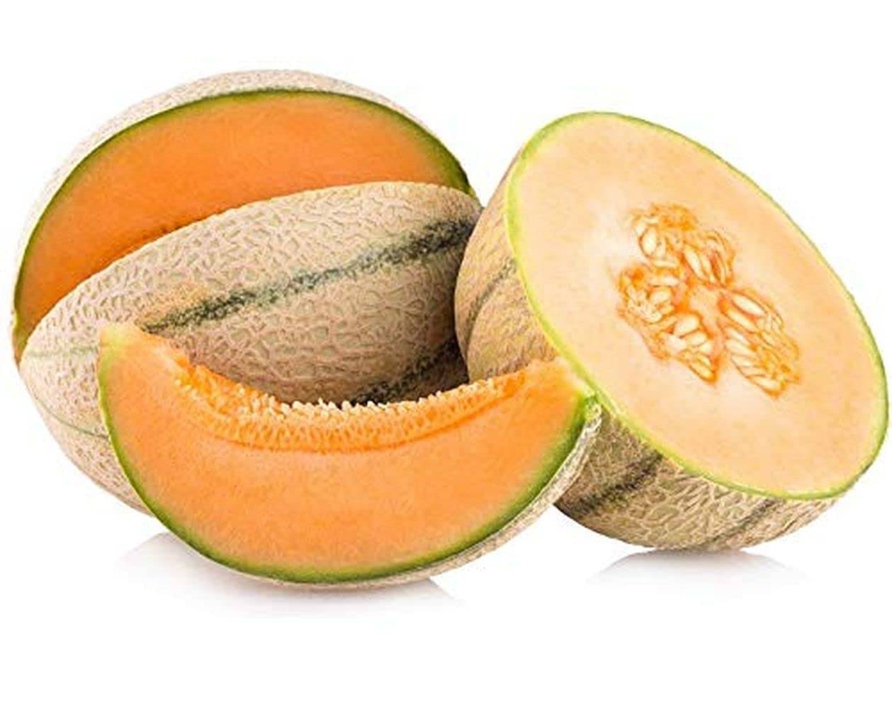 LiveNature Muskmelon/Kharbuja Fruit Seeds | Summer Outdoor Fruit Seeds | Best for Home Garden & Terrace – Pack of 100 Seeds LiveNature Muskmelon/Kharbuja Fruit Seeds | Summer Outdoor Fruit Seeds | Best for Home Garden & Terrace – Pack of 100 Seeds