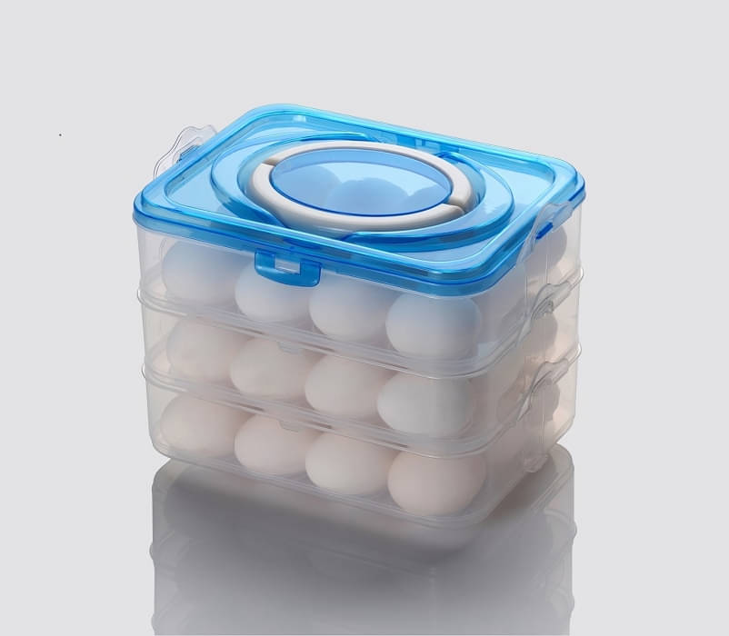     			WARMFLOW EGG CONTAINER Plastic Blue Egg Container ( Set of 1 )