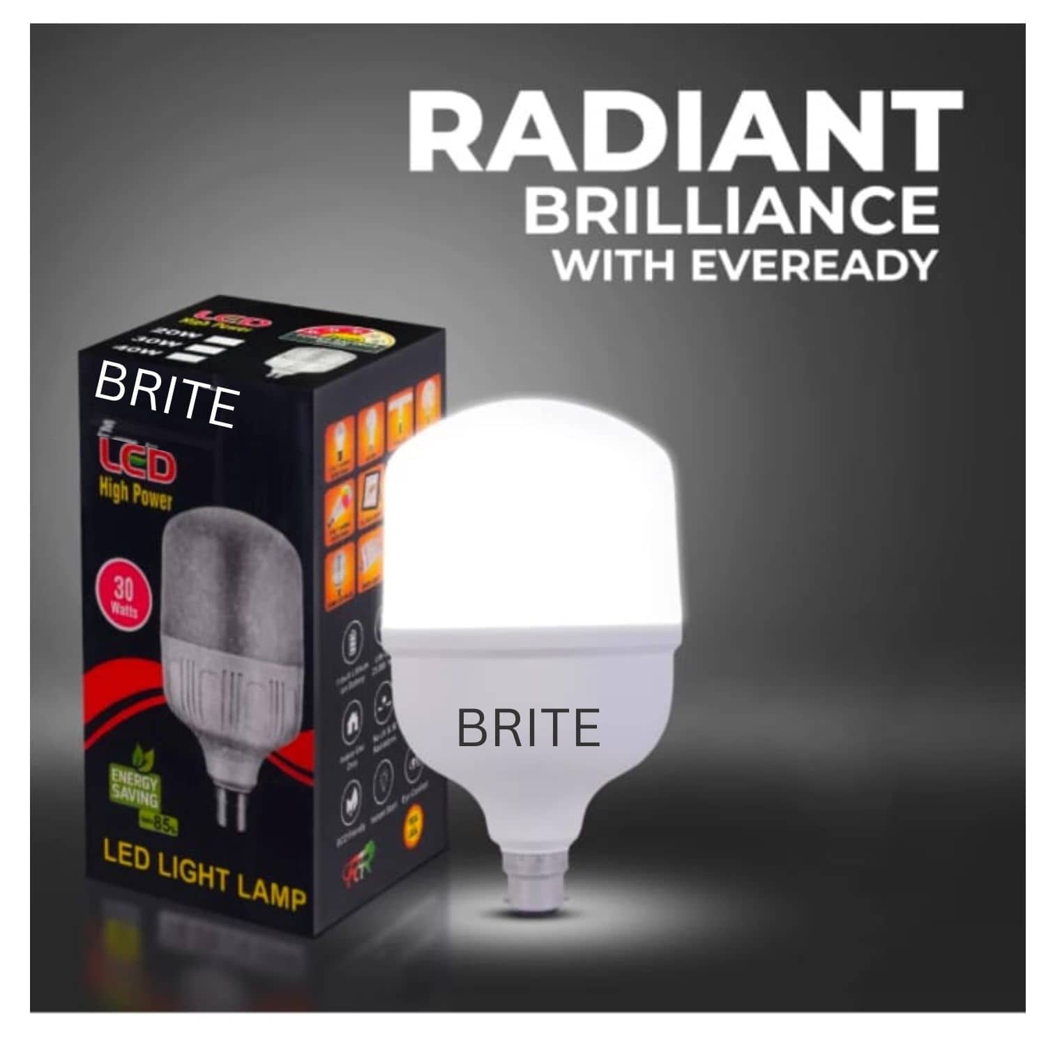 Brite 30W Cool Day Light LED Bulb ( Single Pack )