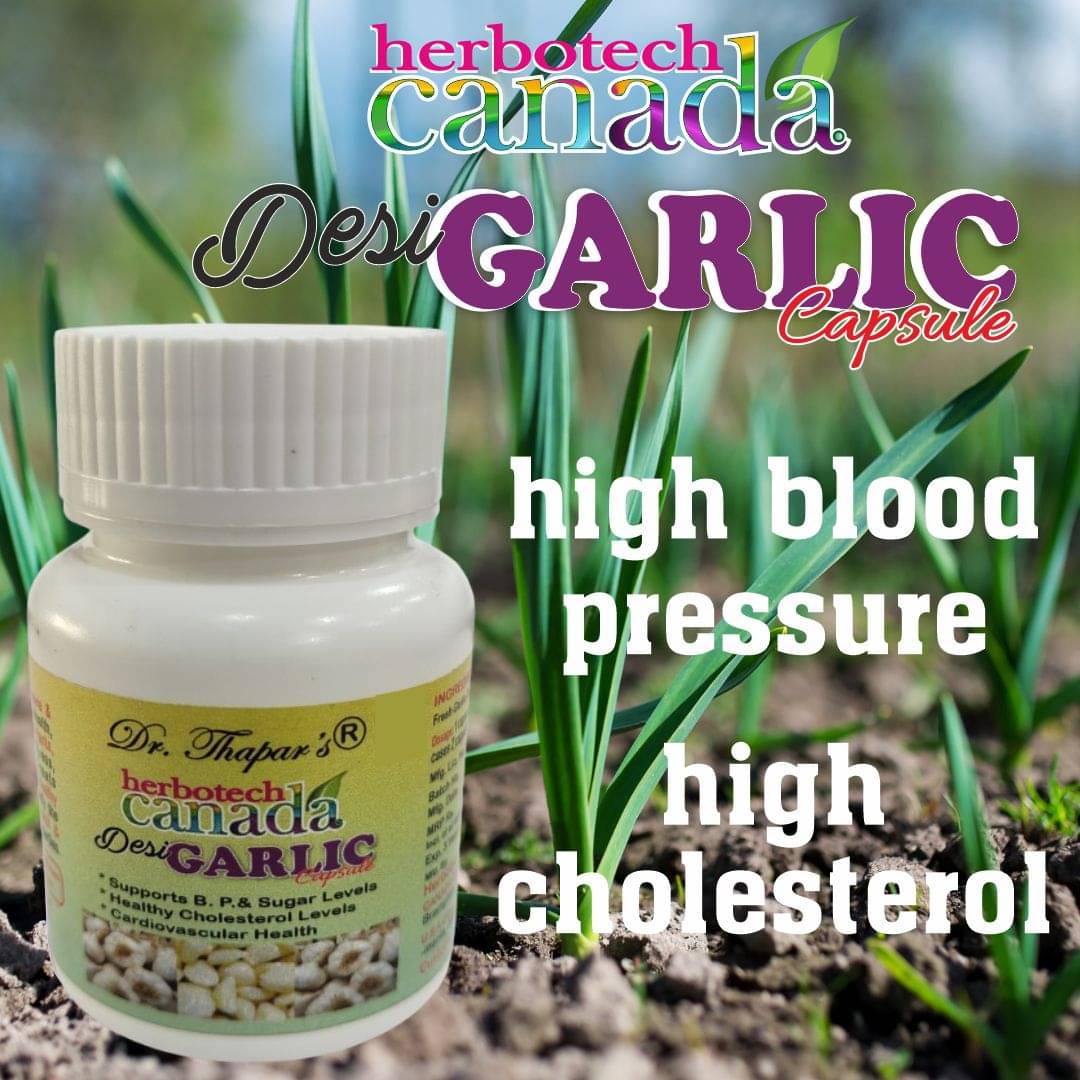 HERBOTECH CANADA DESI GARLIC BP/HEART CARE Caps 25+5 Xtra Capsule 500 mg HERBOTECH CANADA DESI GARLIC BP/HEART CARE Caps 25+5 Xtra Capsule 500 mg