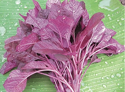 LiveNature Chaulai (Saag) Vegetable ( 200 Seeds )