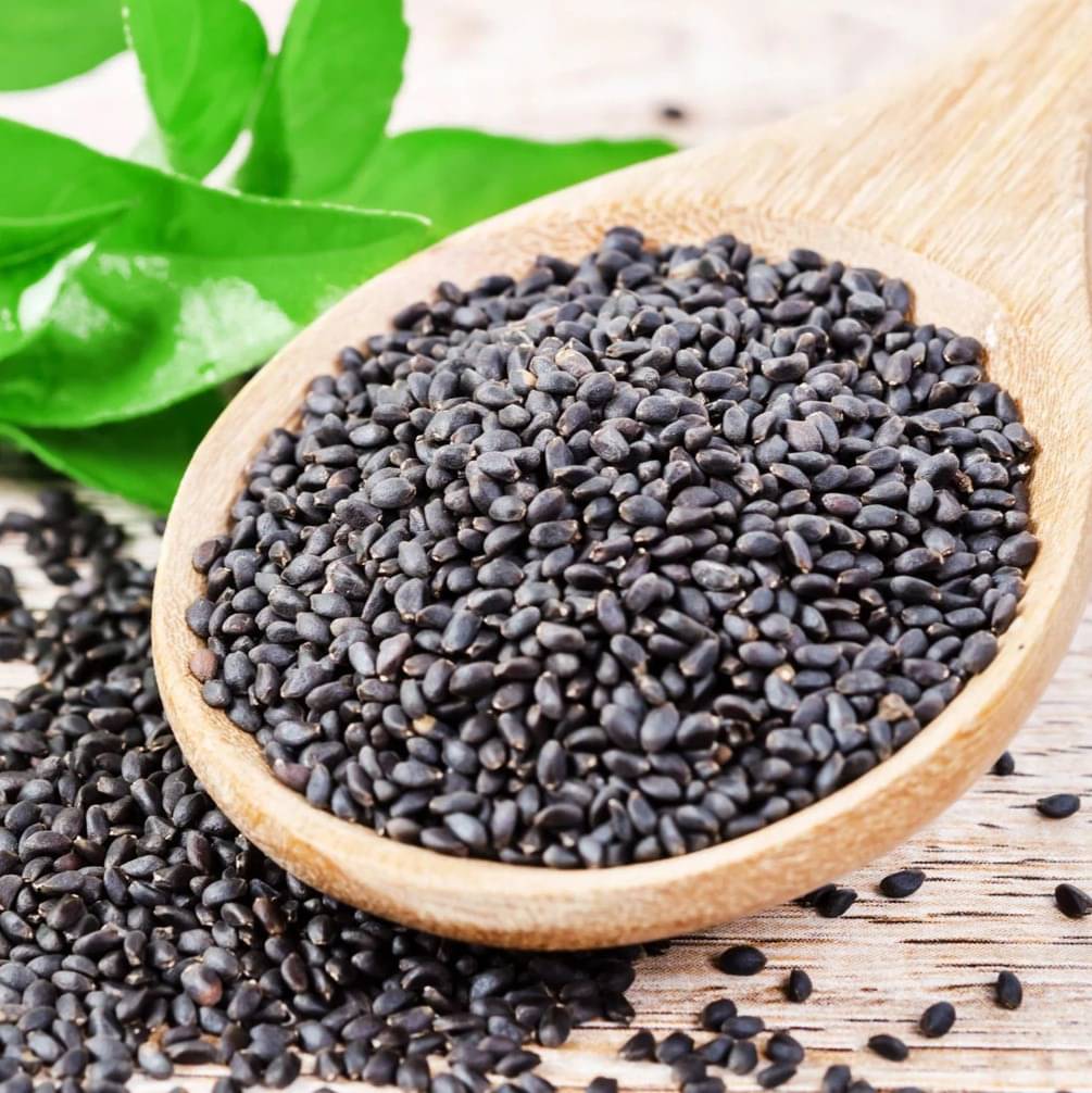    			SundarLaxmi Basil Seeds ( Pack of 1 )