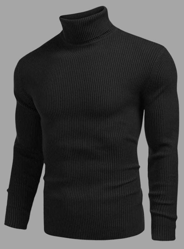    			FEVERFEW Woollen Blend High Neck Men's Full Sleeves Pullover Sweater - Black ( Pack of 1 )