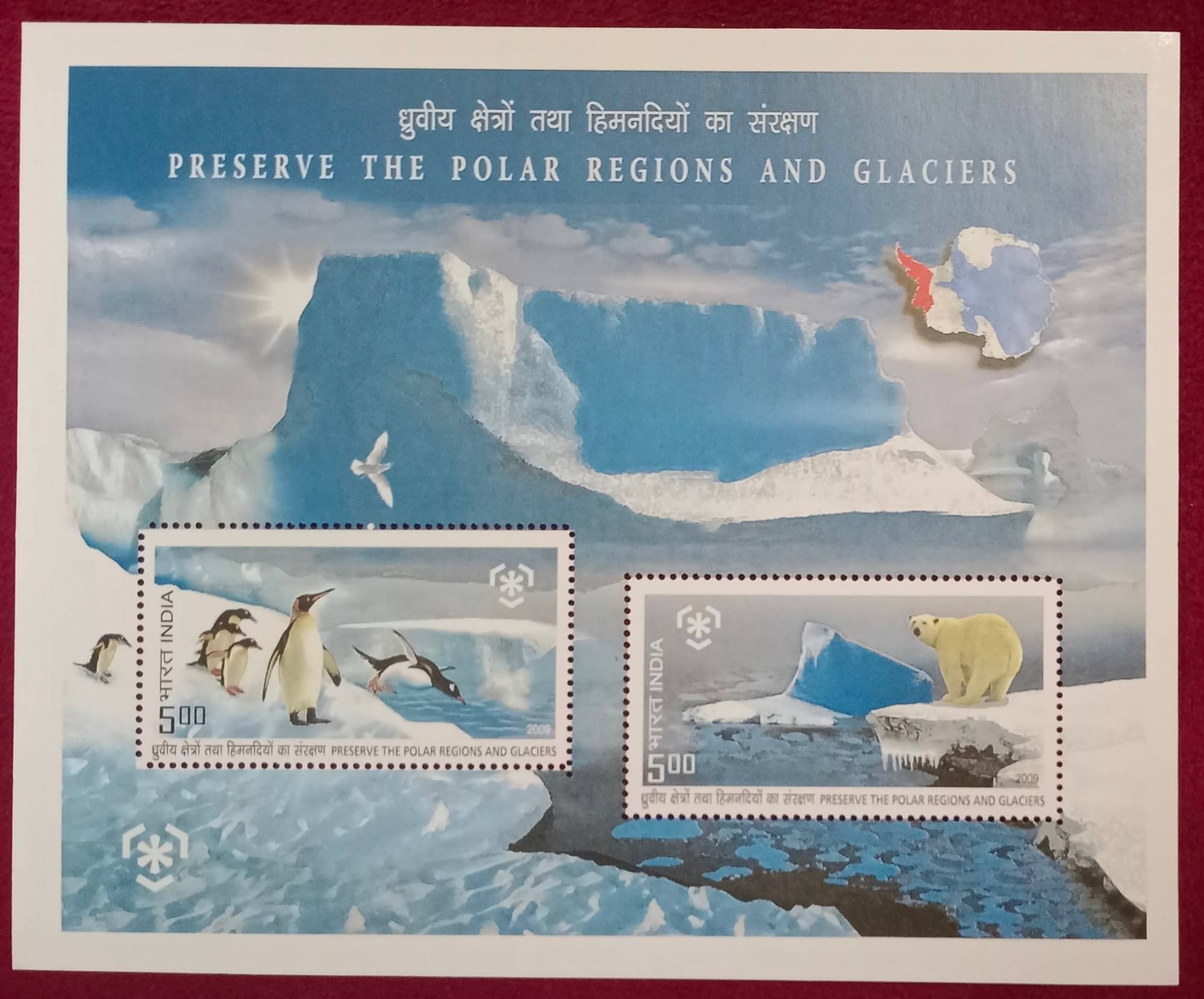 India Miniature Stamp Sheet of Preserve The Polar Regions and Glaciers 2009 Mint Unhinged     			India Miniature Stamp Sheet of Preserve The Polar Regions and Glaciers 2009 Mint Unhinged