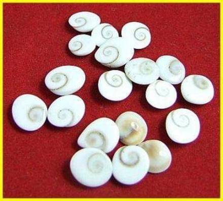 YASH GEMS Vastu Showpiece 8 cm - Pack of 1 YASH GEMS Vastu Showpiece 8 cm - Pack of 1