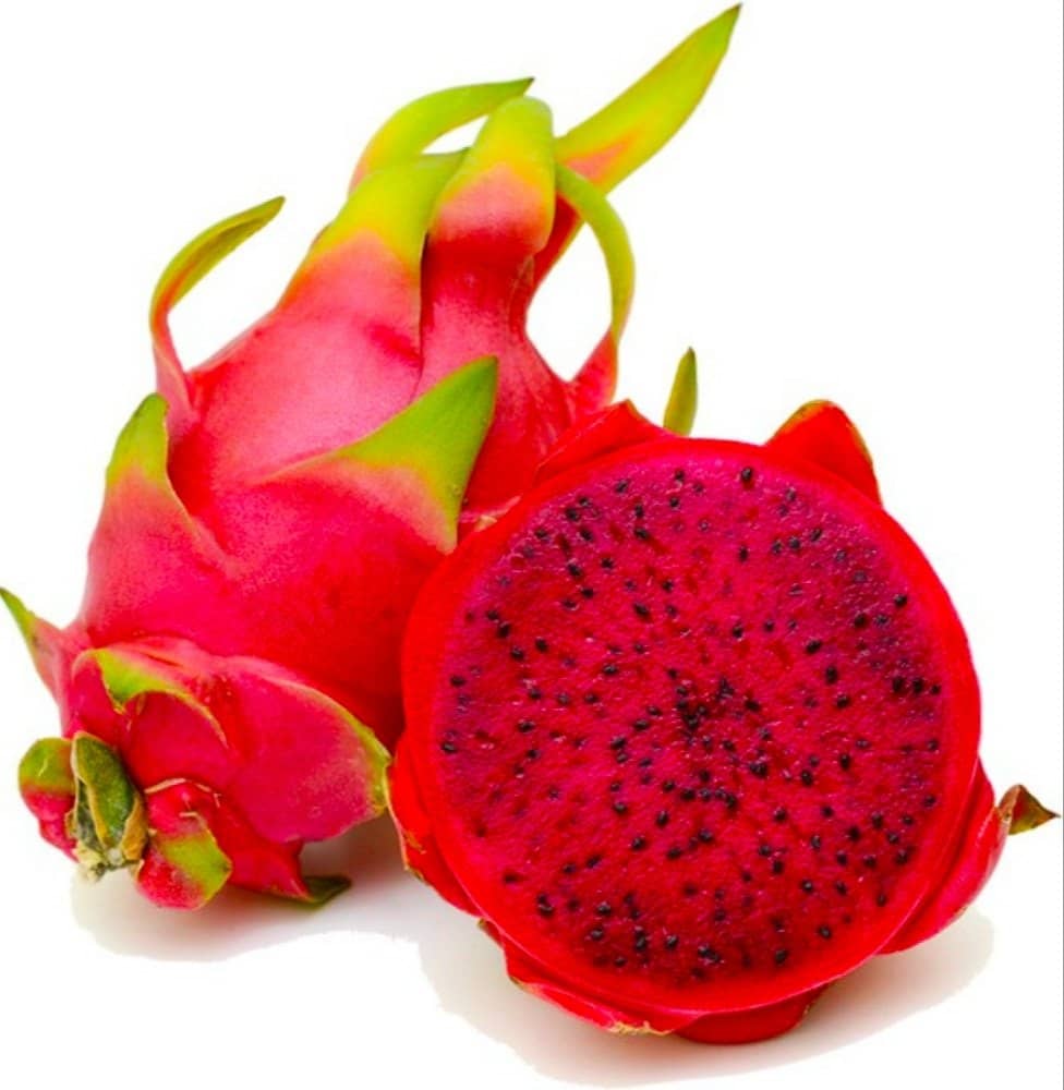 Cloud Farm Outdoor Fruit Plant ( Pack of 3 )