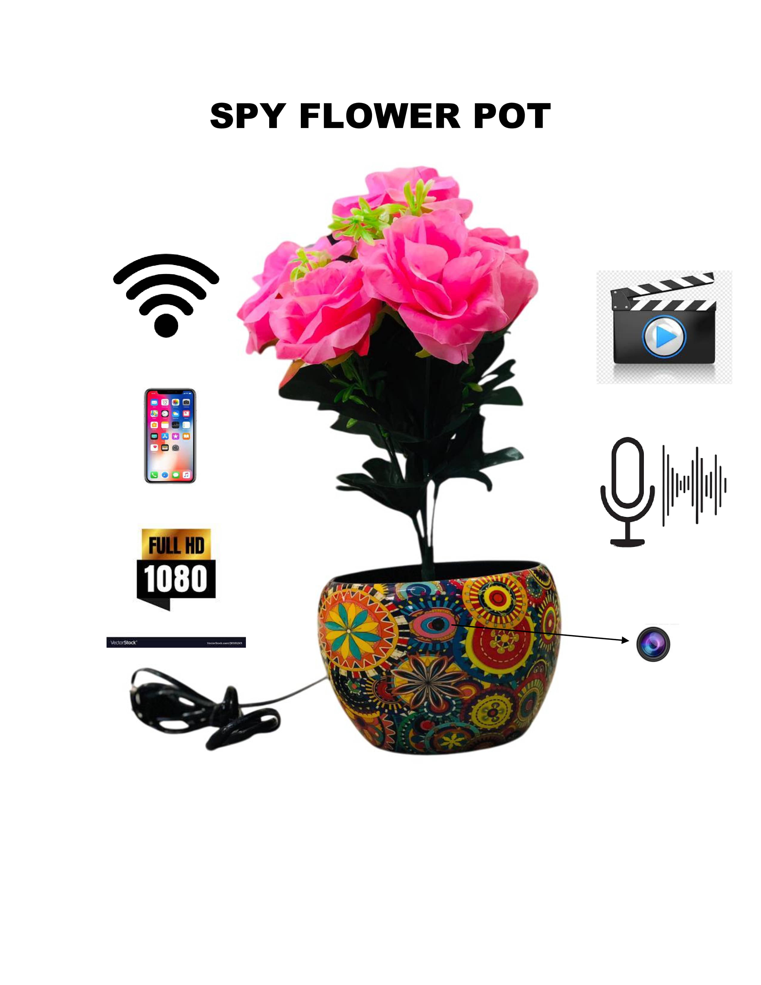     			Vizio VIZIO SPY FLOWER POT Wi-Fi Others 1080 Camera