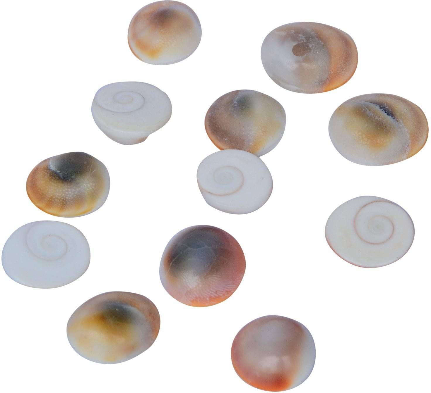     			YASH GEMS Bead ( Pack of 1 )