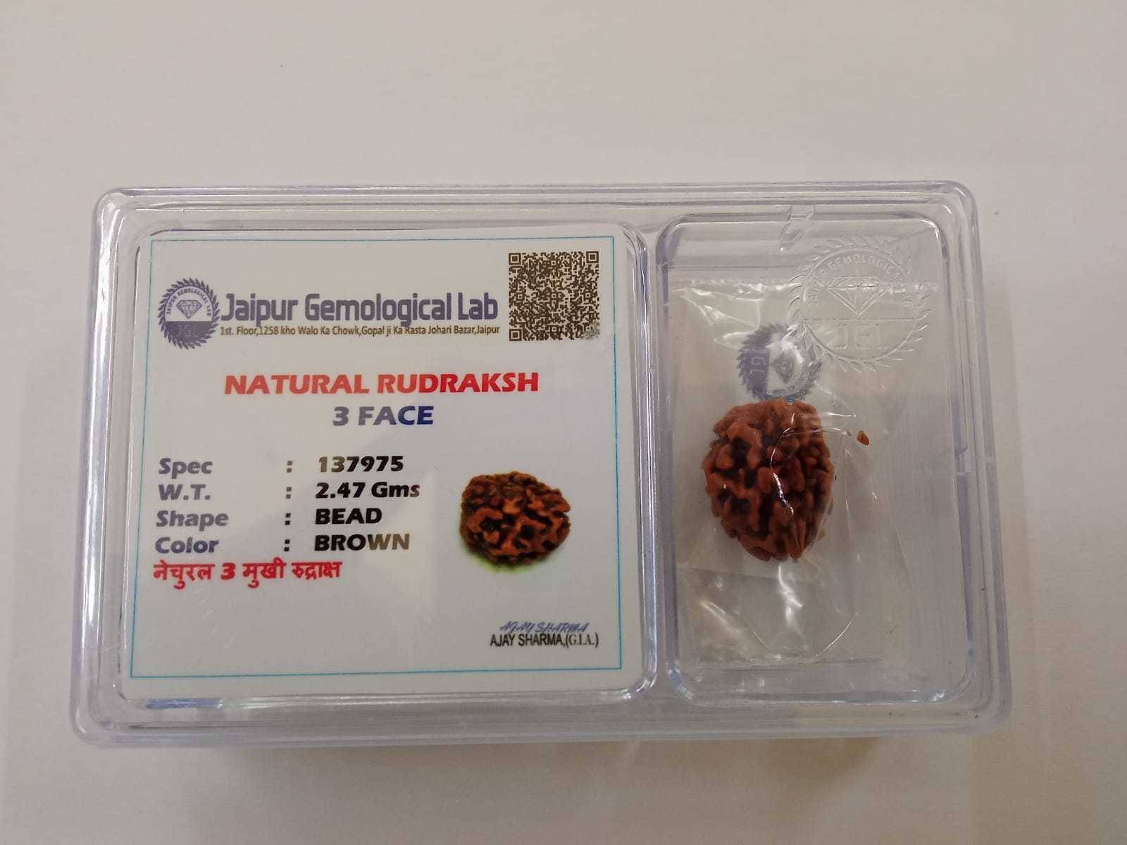     			YASH GEMS Rudraksha Pendant ( Pack of 1 )
