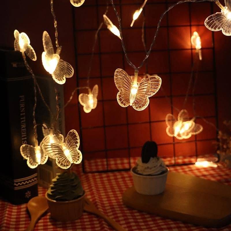     			HOME DELIGHT Yellow 4M String Light ( Pack of 1 )
