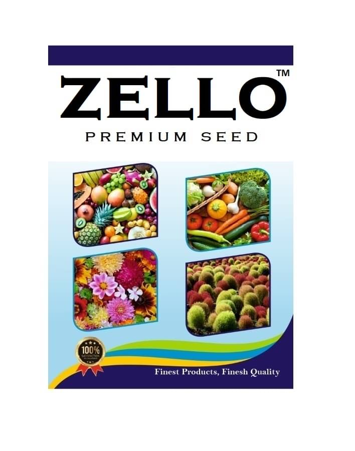    			zello. Petunia Mixed Flower ( 50 Seeds )