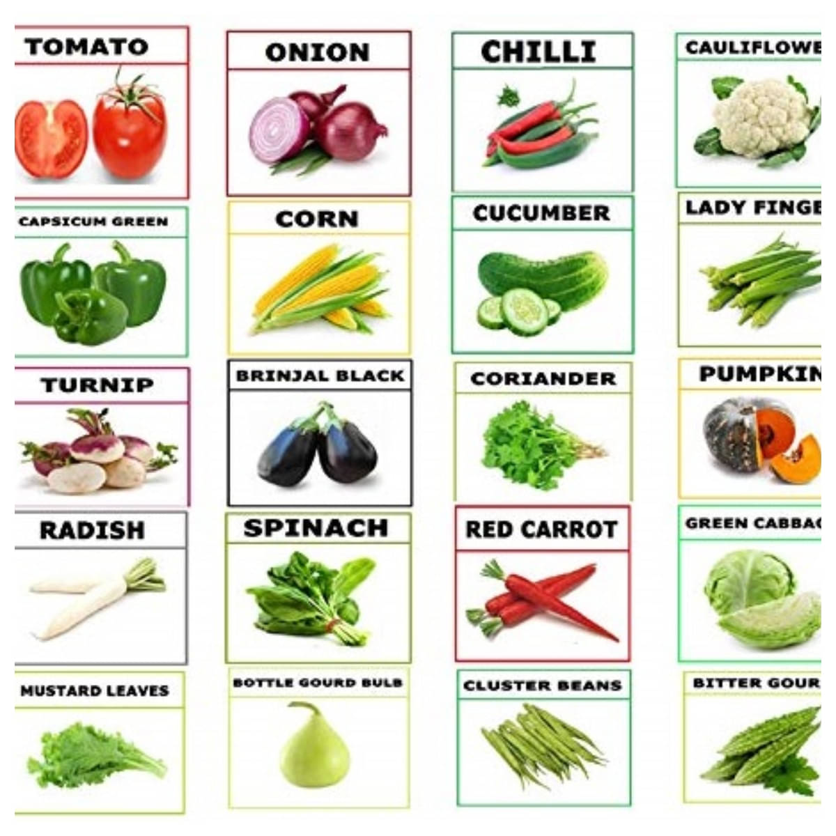     			zello. Mixed Vegetable 20 Varieties ( 650 Seeds )