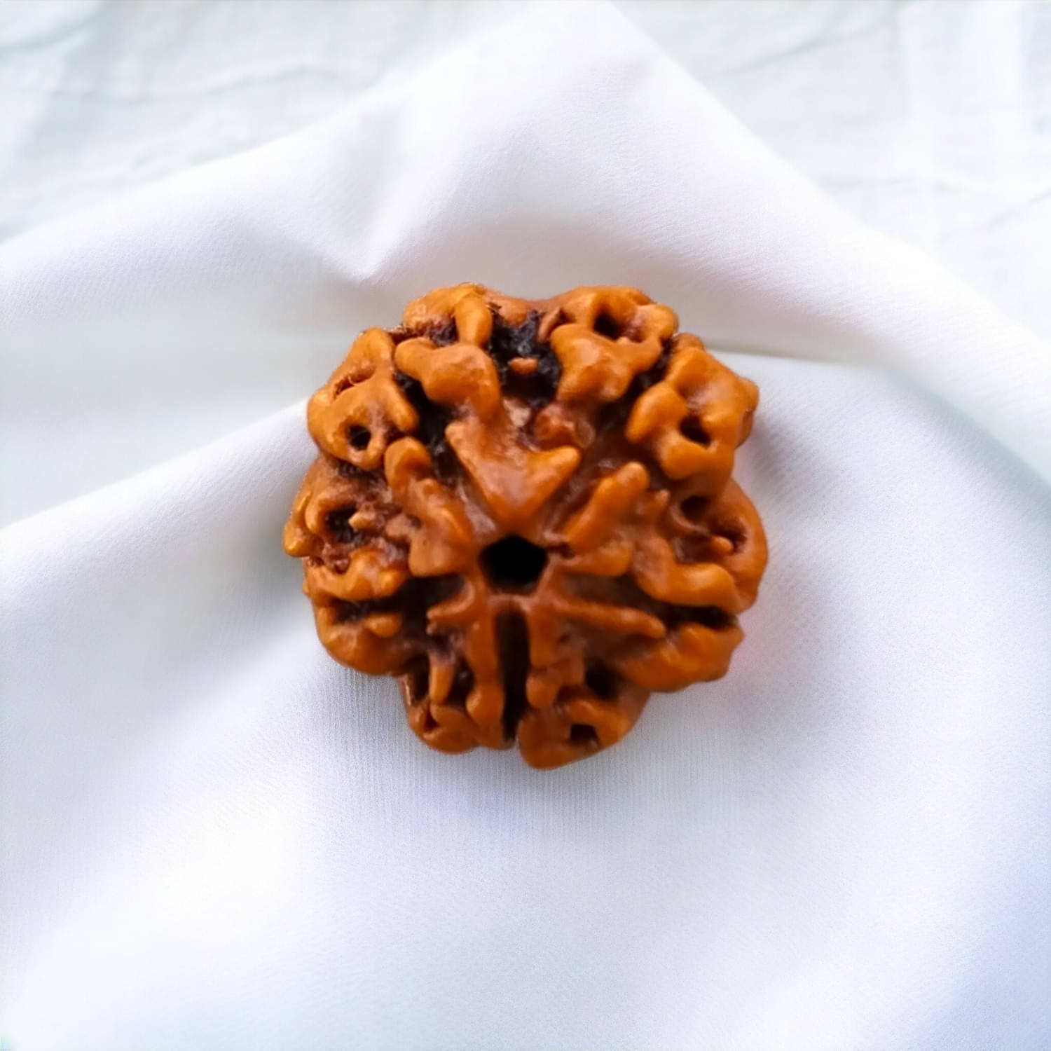    			YASH GEMS Rudraksha Pendant ( Pack of 1 )