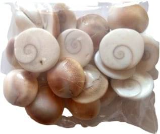 YASH GEMS Vastu Showpiece 8 cm - Pack of 1 YASH GEMS Vastu Showpiece 8 cm - Pack of 1