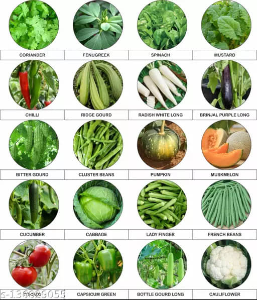 zello. Mixed Vegetable 20 Varieties ( 600 Seeds ) zello. Mixed Vegetable 20 Varieties ( 600 Seeds )