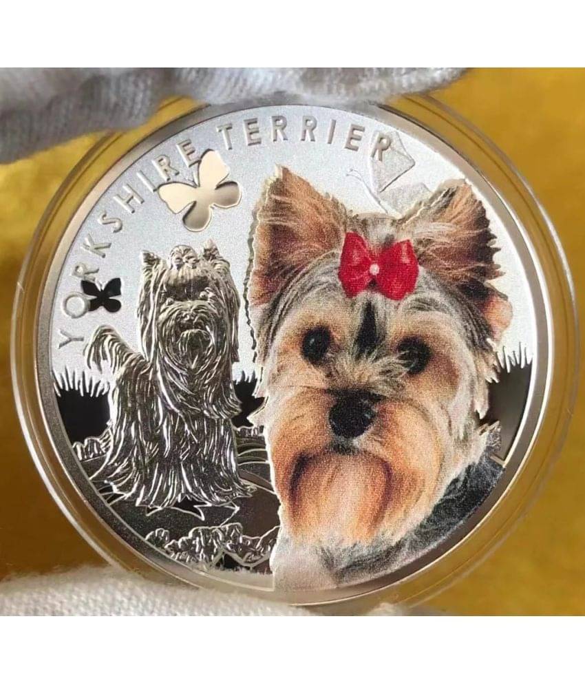     			NIUE Island 1 Dollar Man Best Friend Yorkshire Terrier Dog 2014 Color Coin With Capsule