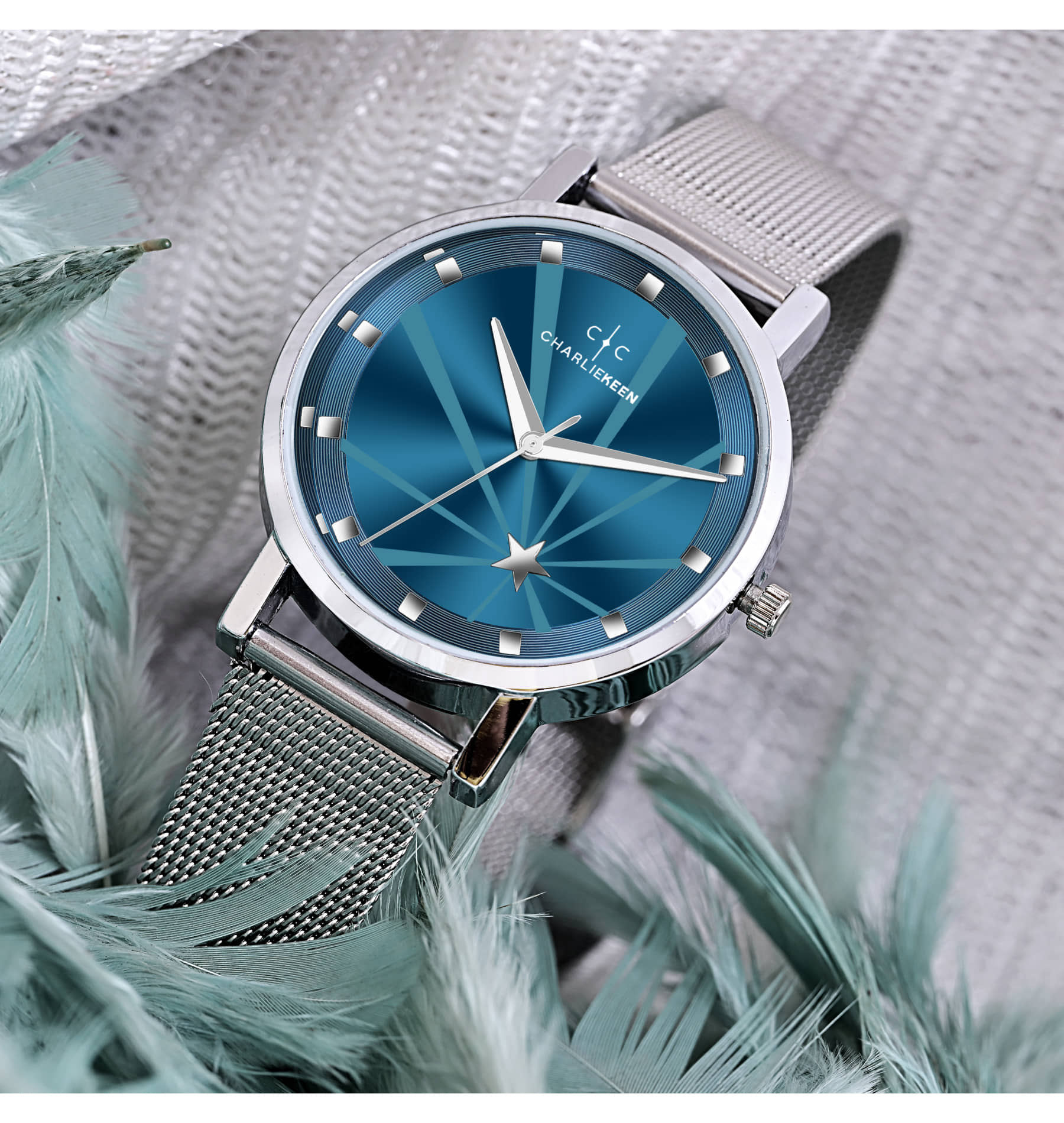 CHARLIEKEEN Silver Stainless Steel Analog Womens Watch