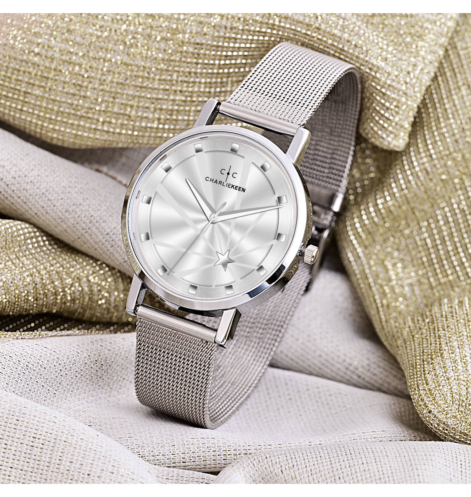 CHARLIEKEEN Silver Stainless Steel Analog Womens Watch