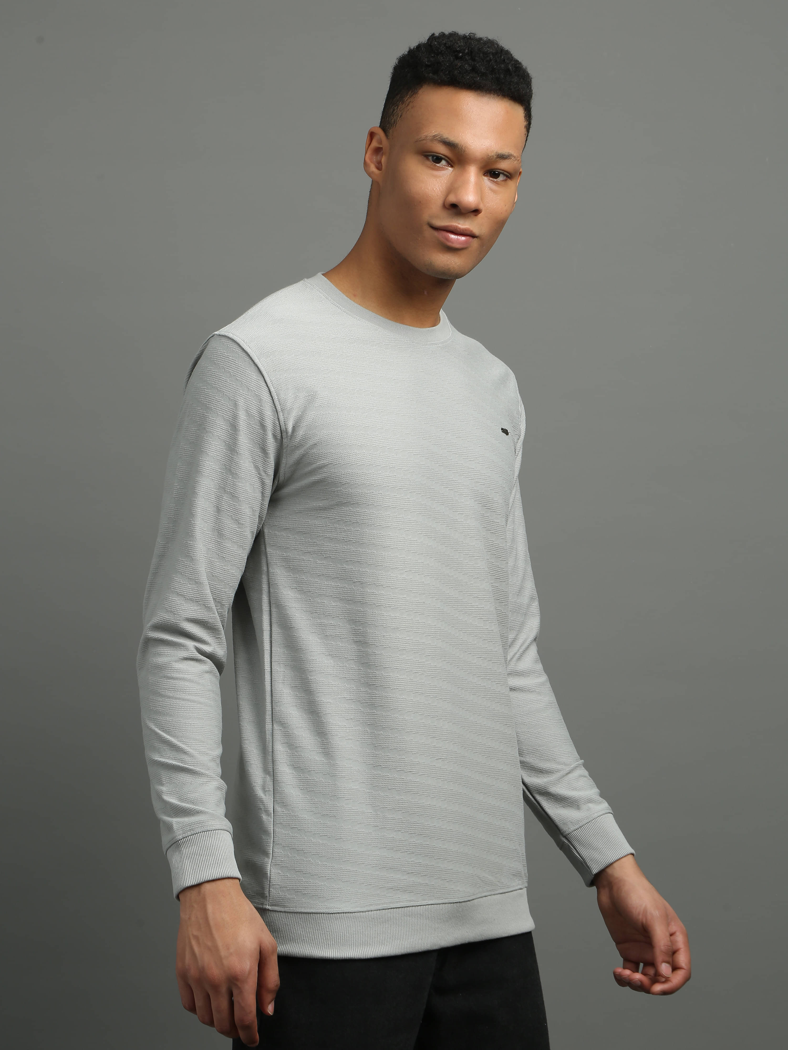     			FROSEN FOX Cotton Blend Round Neck Men's Sweatshirt - Grey ( Pack of 1 )