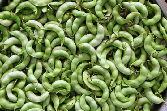     			zello. French Bean Vegetable ( 25 Seeds )