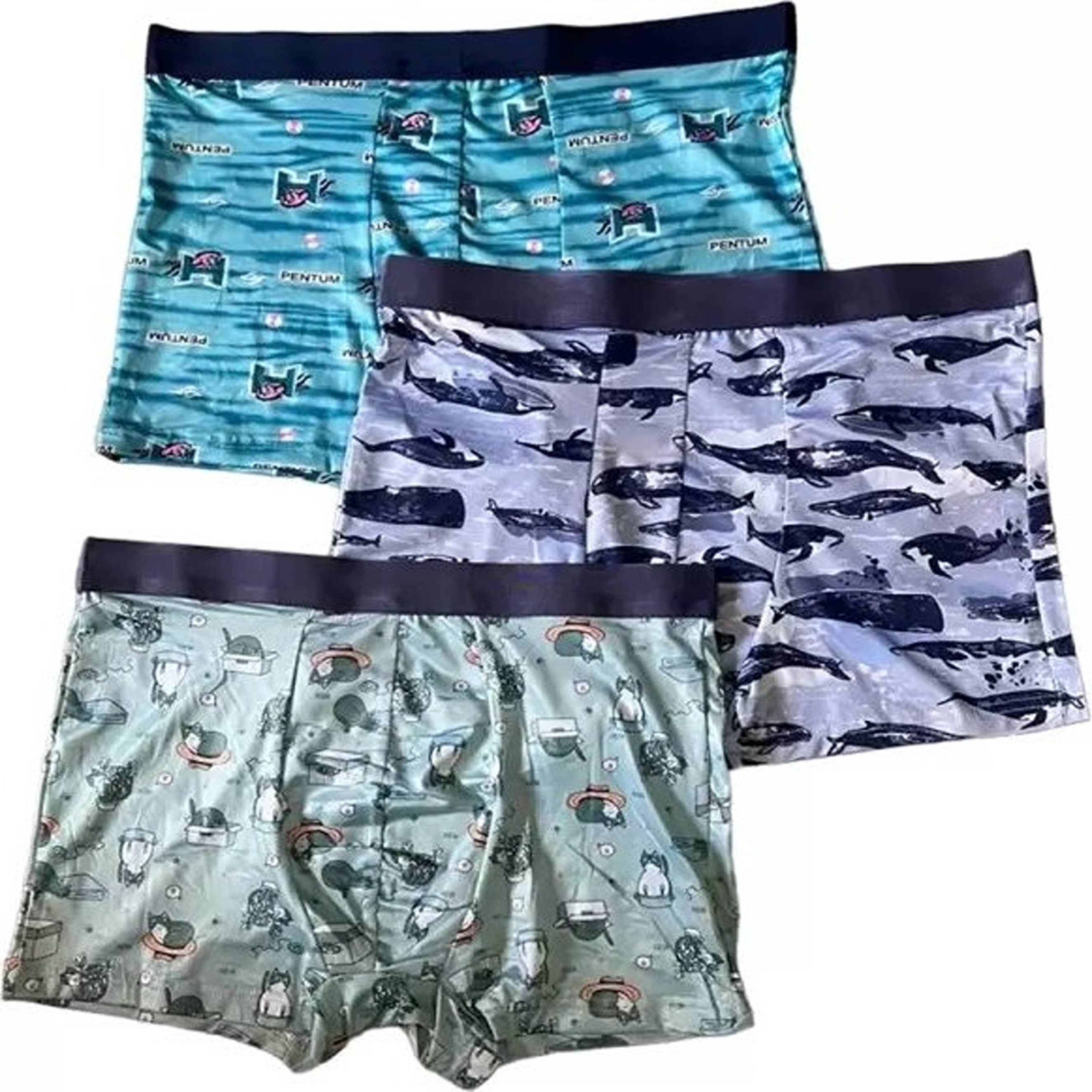 CAVENDRES Pack of 3 Nylon Trunks For Men's ( Multicolor )