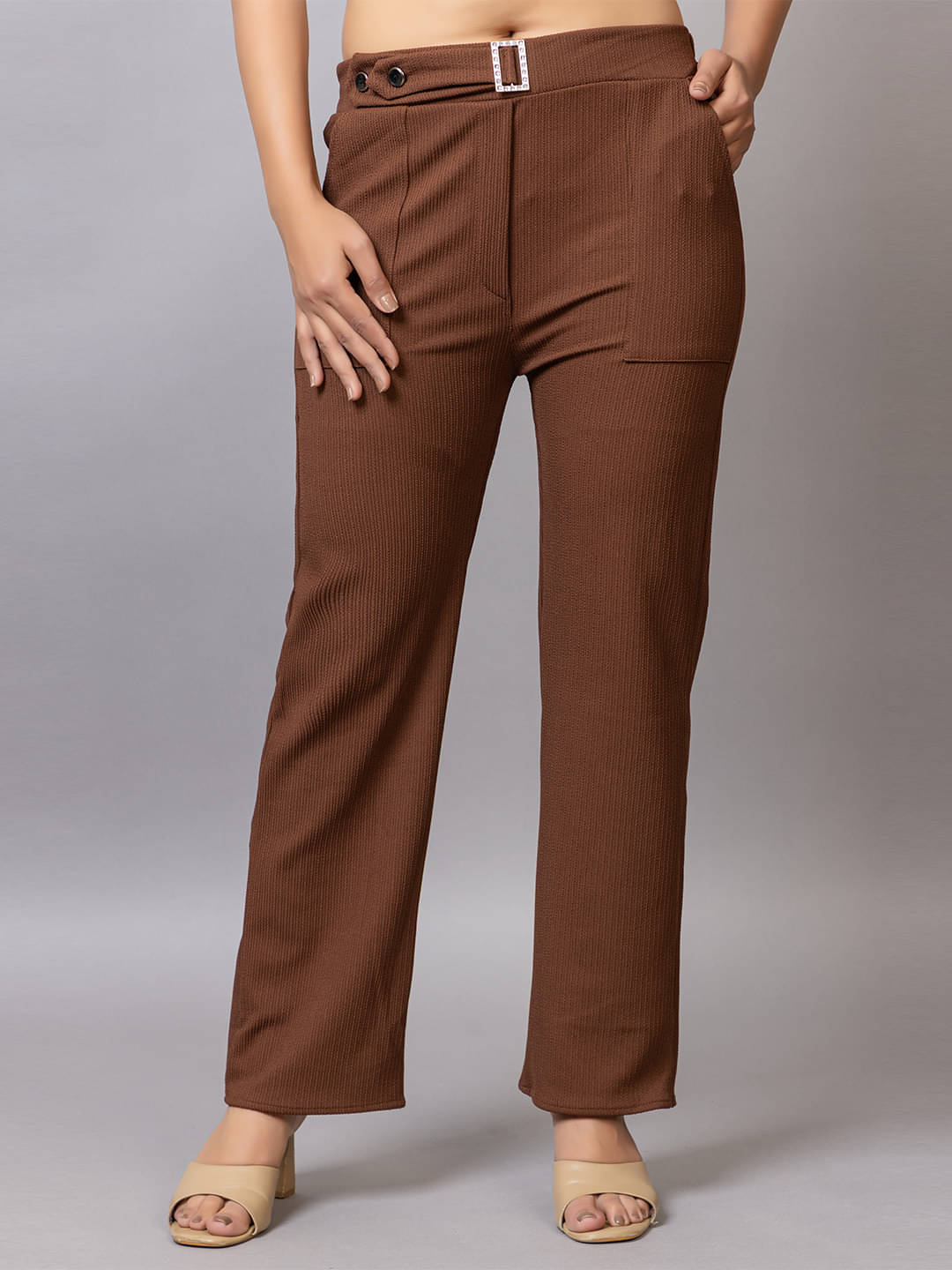     			PROBASIC Pack of 1 Cotton Blend Regular Women's Formal Pants ( Brown )