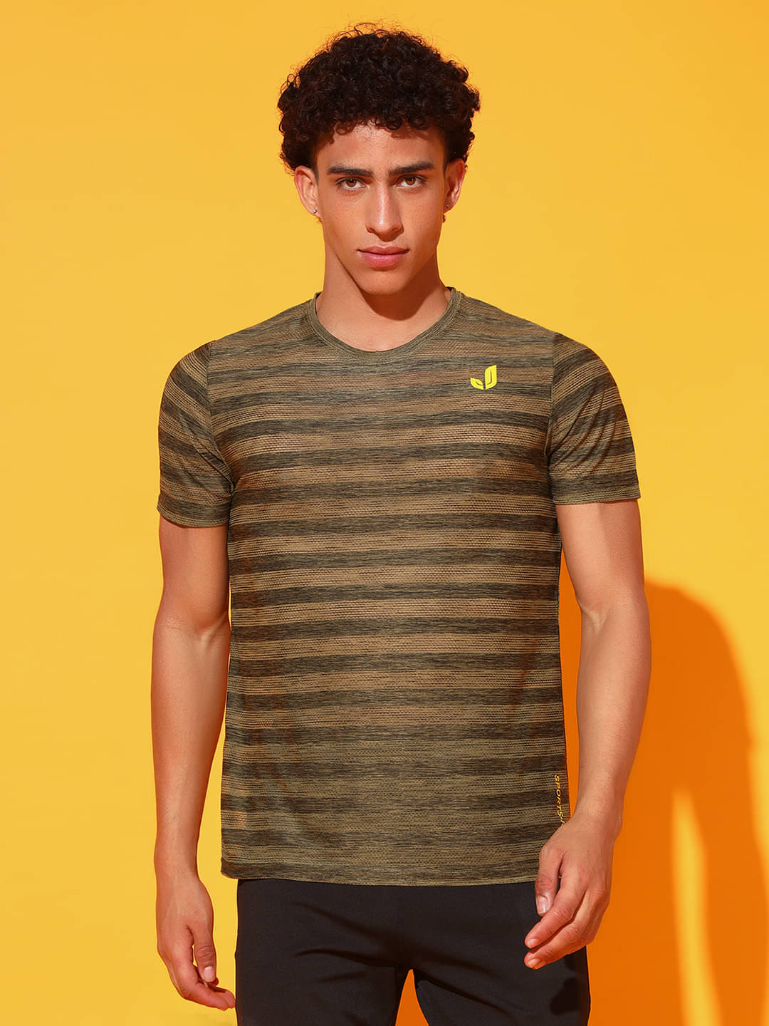     			ATIGIANO APPAREL Polyester Regular Fit Striped Half Sleeves Men's Round T-Shirt - Green ( Pack of 1 )