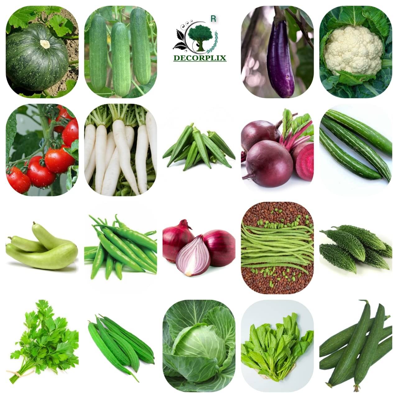 DECORPLIX Brinjal Vegetable 19 Varieties ( 1000 Seeds ) DECORPLIX Brinjal Vegetable 19 Varieties ( 1000 Seeds )