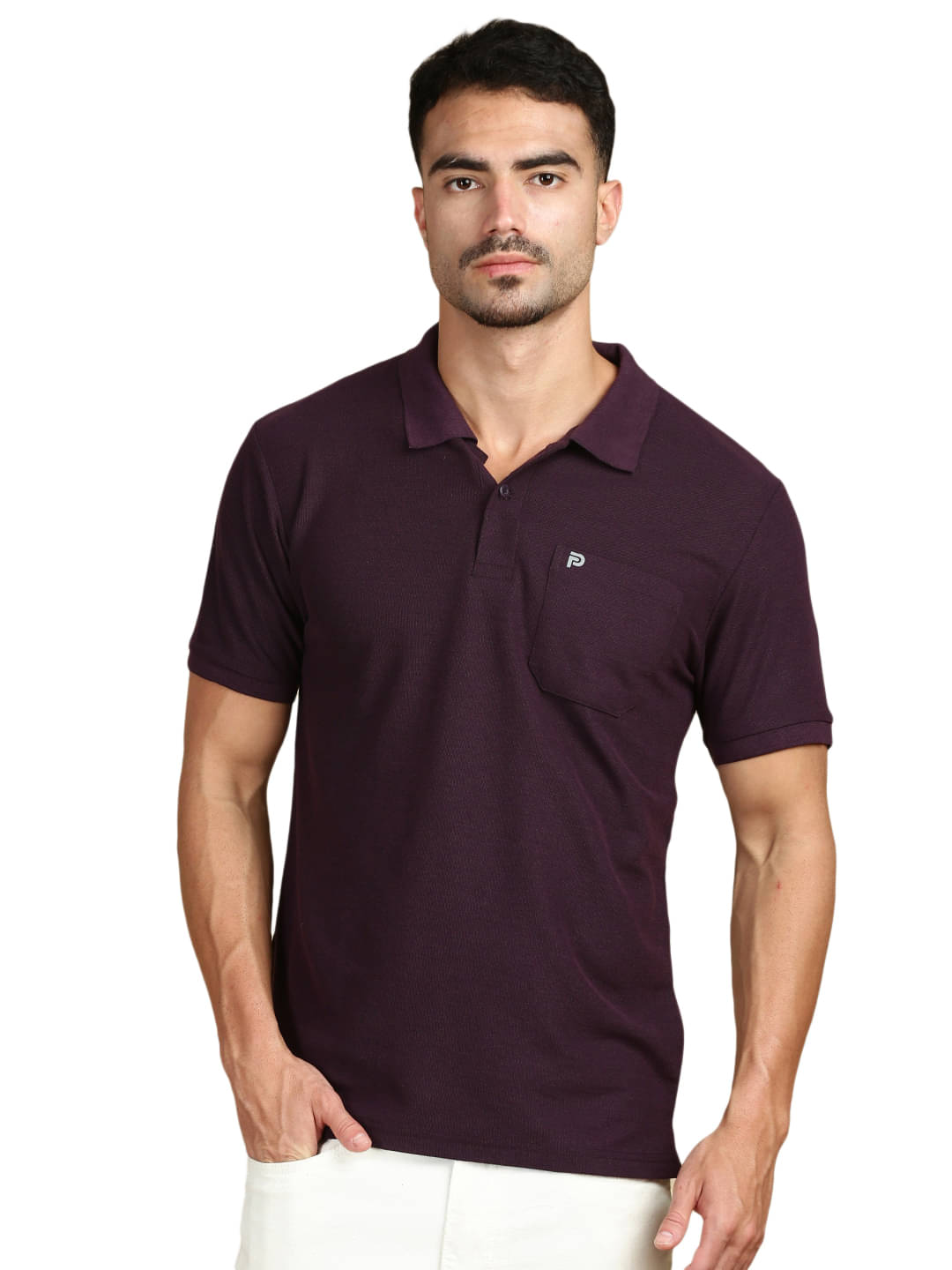     			LUX PARKER Pack of 1 Cotton Blend Regular Fit Solid Half Sleeves Men's Polo T Shirt ( Purple )