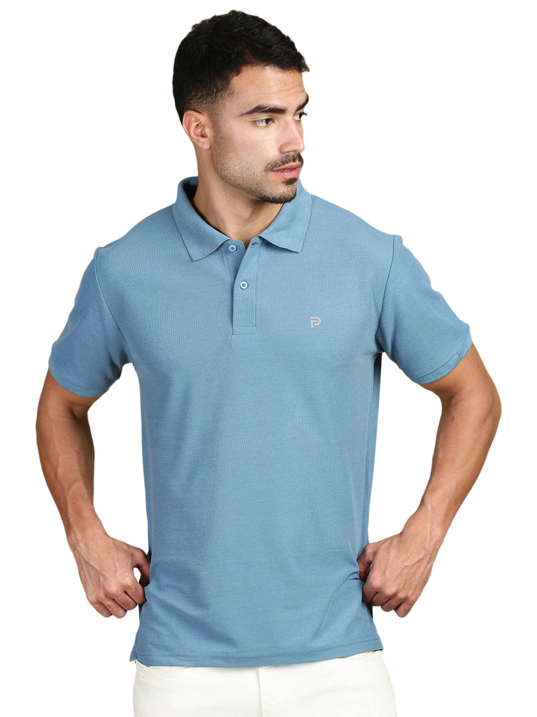 LUX PARKER Pack of 1 Cotton Blend Regular Fit Solid Half Sleeves Men's Polo T Shirt ( Blue ) LUX PARKER Pack of 1 Cotton Blend Regular Fit Solid Half Sleeves Men's Polo T Shirt ( Blue )
