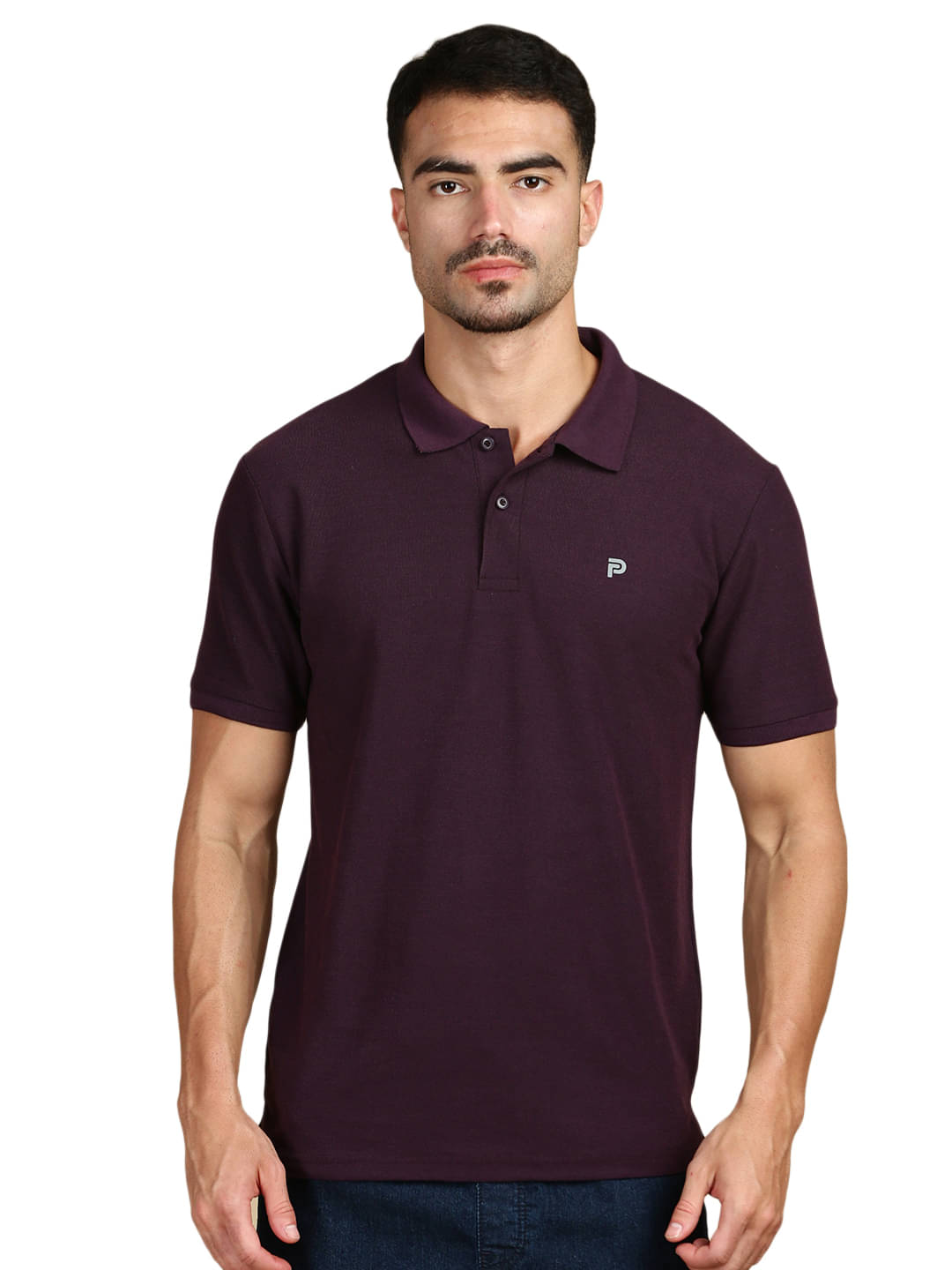 LUX PARKER Pack of 1 Cotton Blend Regular Fit Solid Half Sleeves Men's Polo T Shirt ( Purple )     			LUX PARKER Pack of 1 Cotton Blend Regular Fit Solid Half Sleeves Men's Polo T Shirt ( Purple )