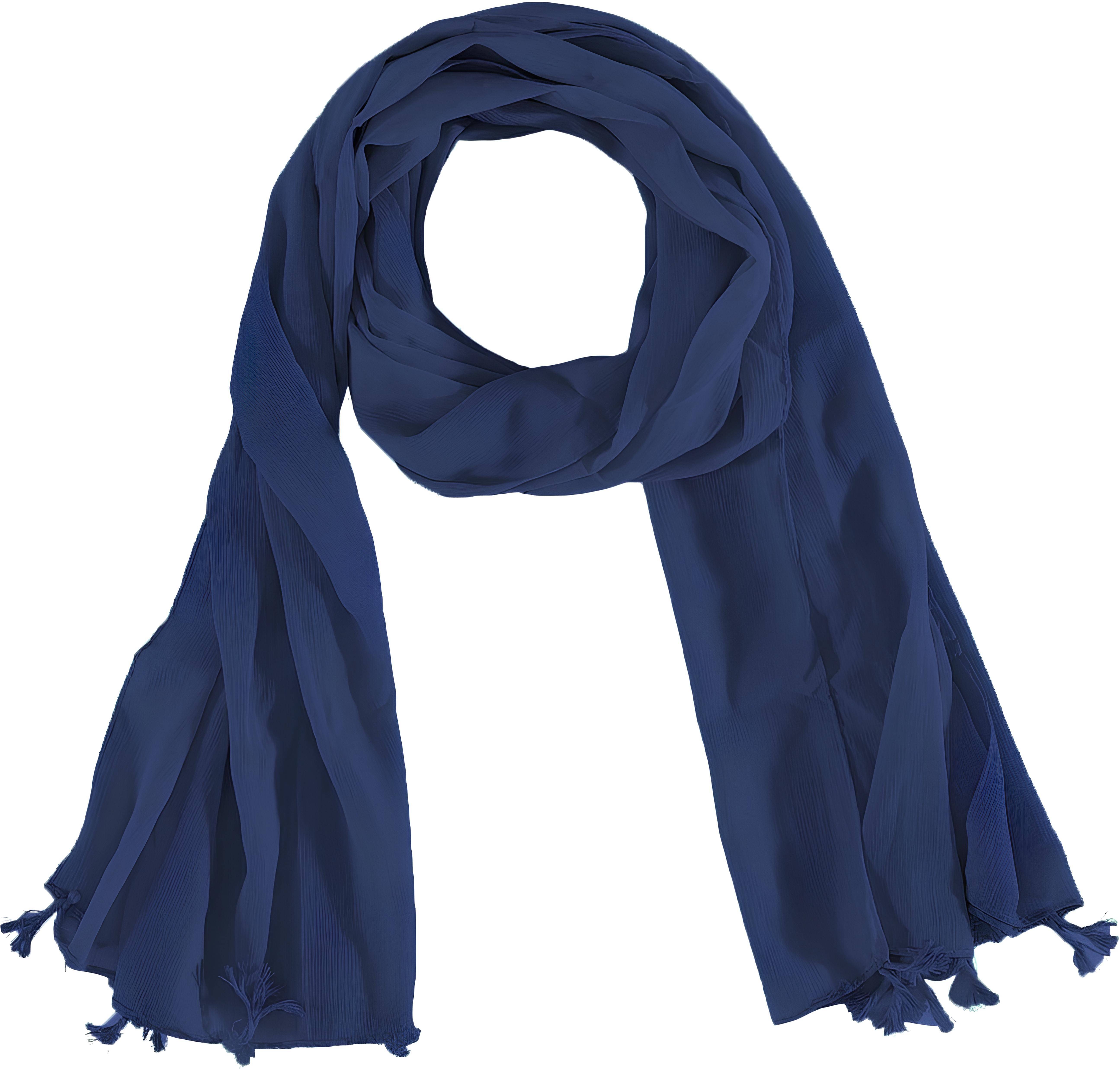     			Reoutlook Blue Viscose Women's Stole ( Pack of 2 )