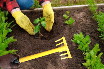SAS TOOLS Garden Tool Set ( Set of 1 ) SAS TOOLS Garden Tool Set ( Set of 1 )