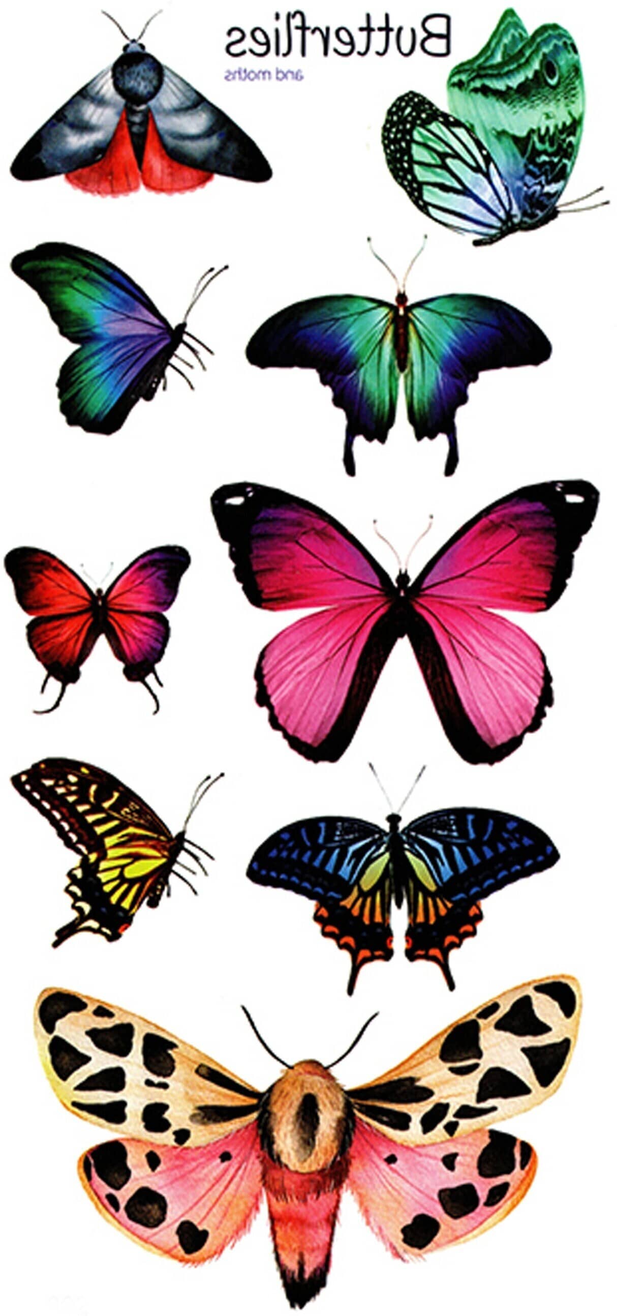 The Canvas Arts Temporary Body Tattoo