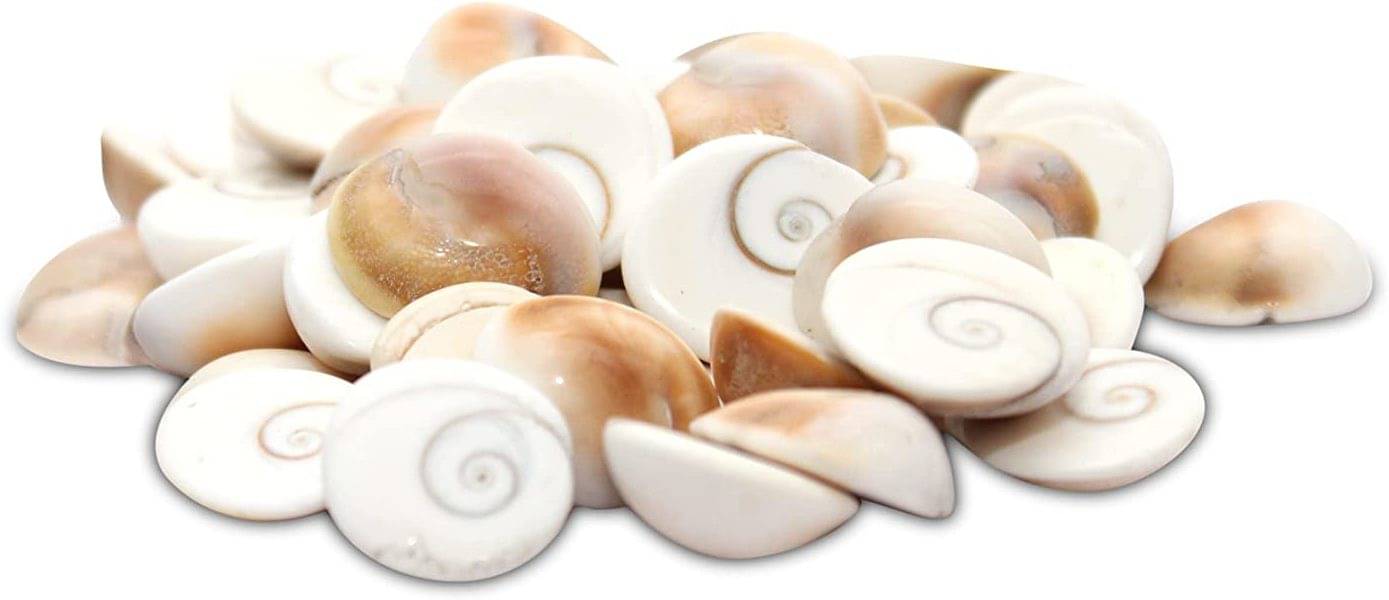     			YASH GEMS Crystal Gomati Chakra