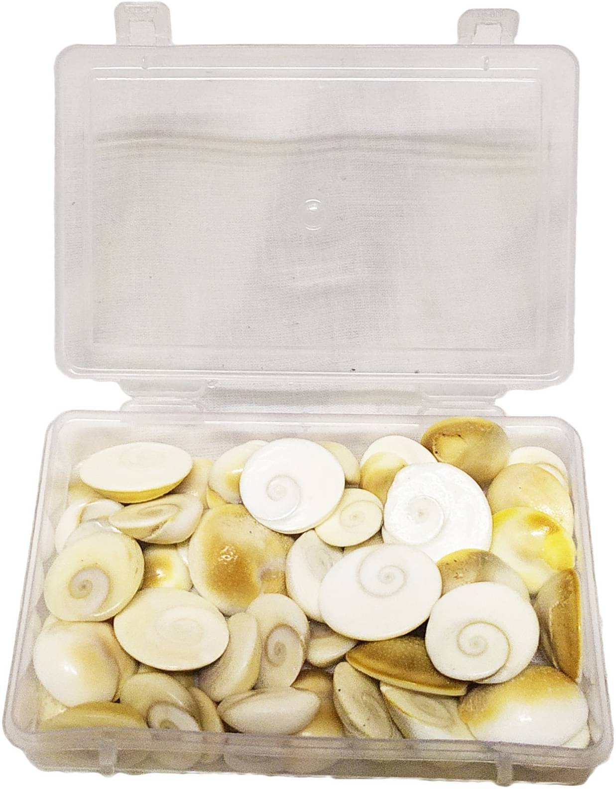    			YASH GEMS Marble Gomati Chakra