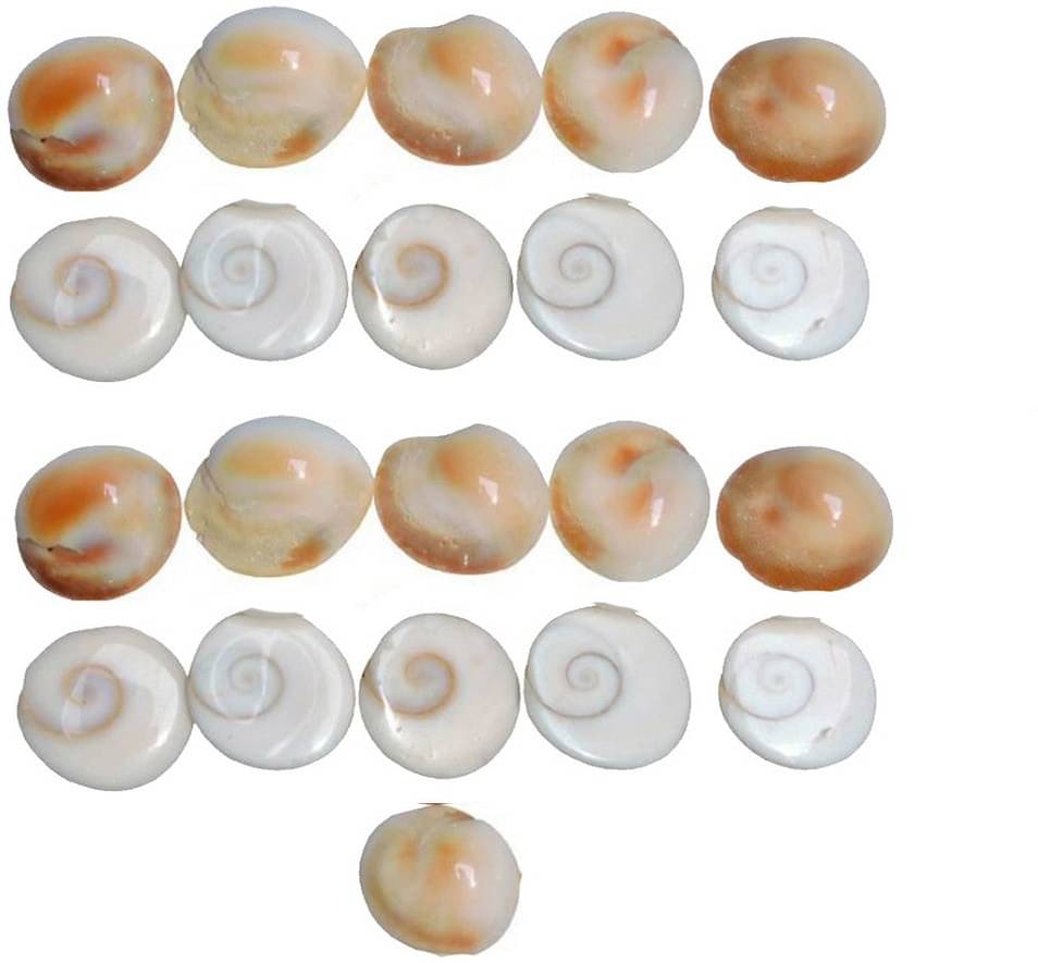     			YASH GEMS Marble Gomti Chakra