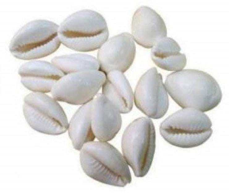     			YASH GEMS Marble Kaudi