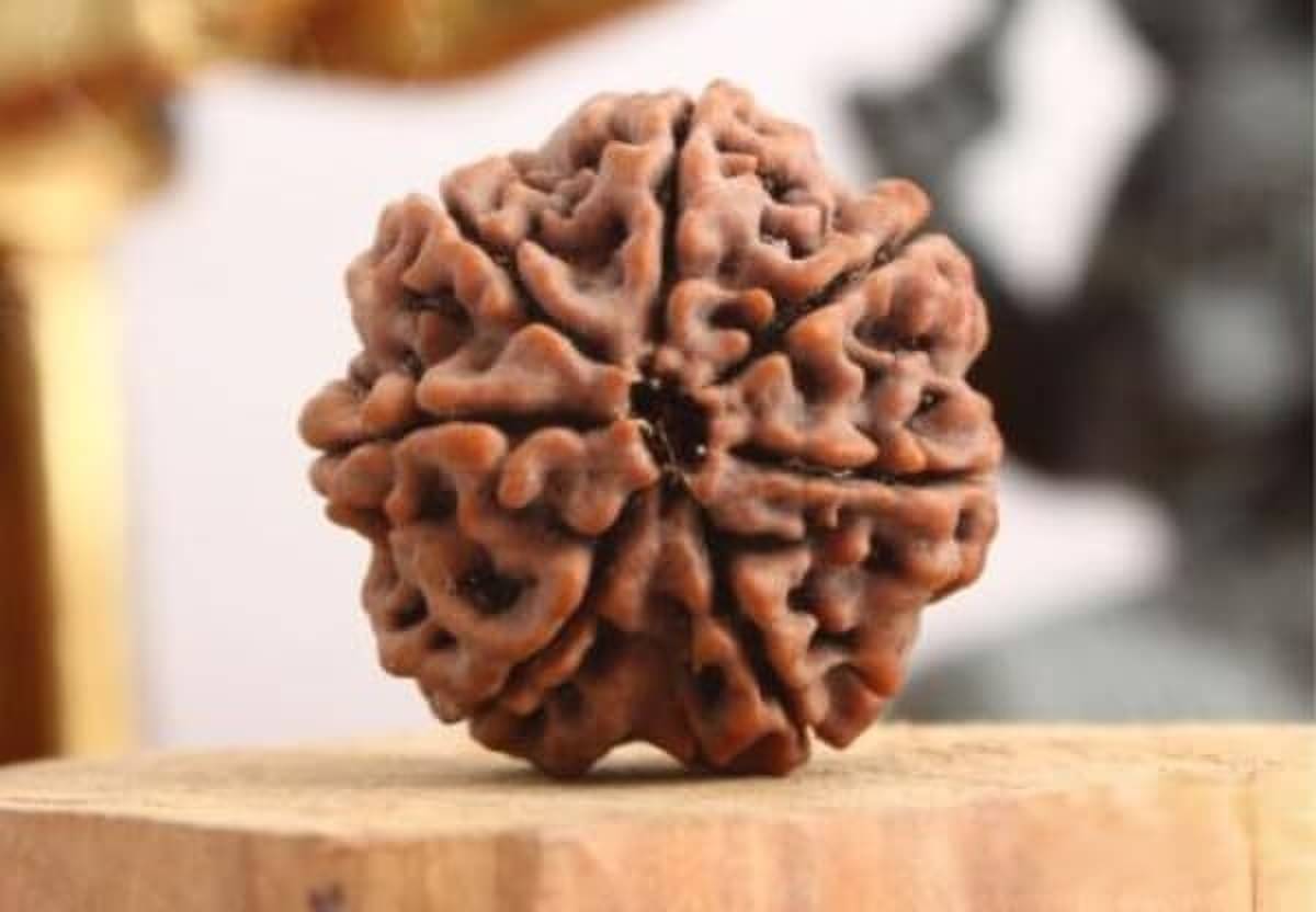     			YASH GEMS Rudraksha Pendant ( Pack of 1 )