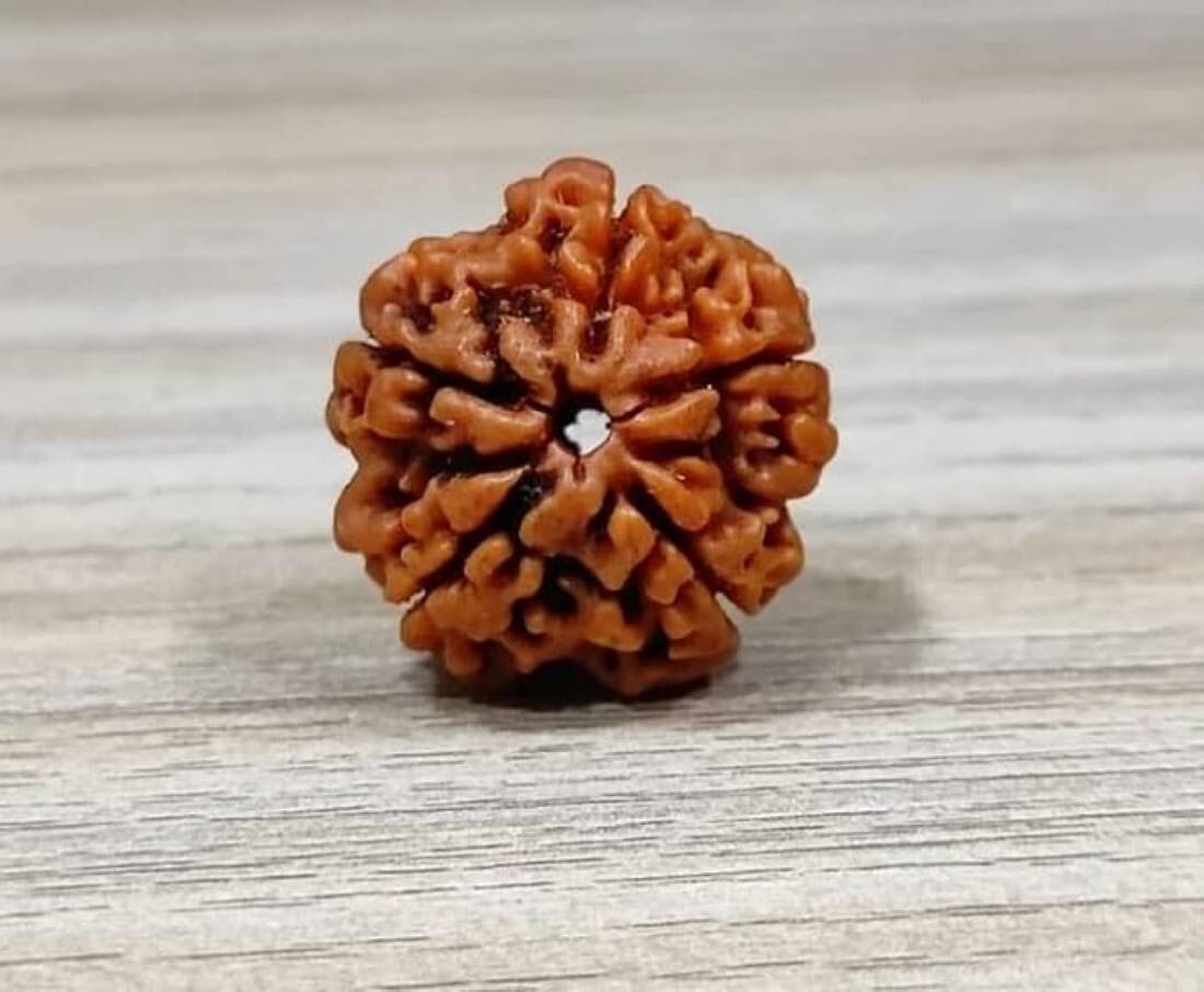     			YASH GEMS Rudraksha Pendant ( Pack of 1 )