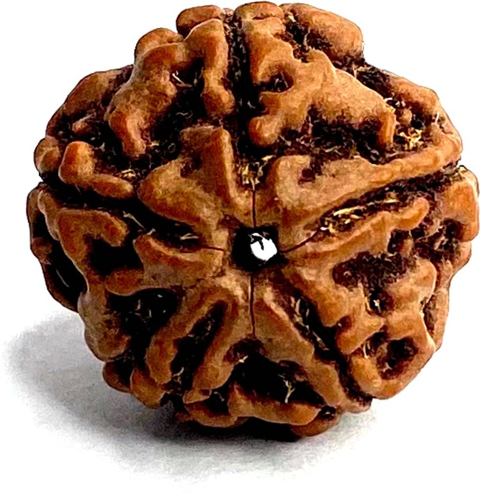     			YASH GEMS Rudraksha Pendant ( Pack of 1 )