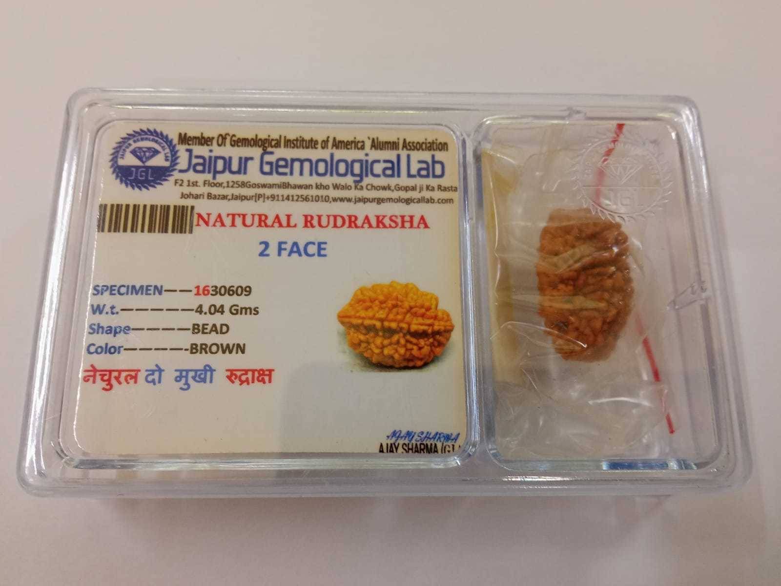     			YASH GEMS Rudraksha Pendant ( Pack of 1 )