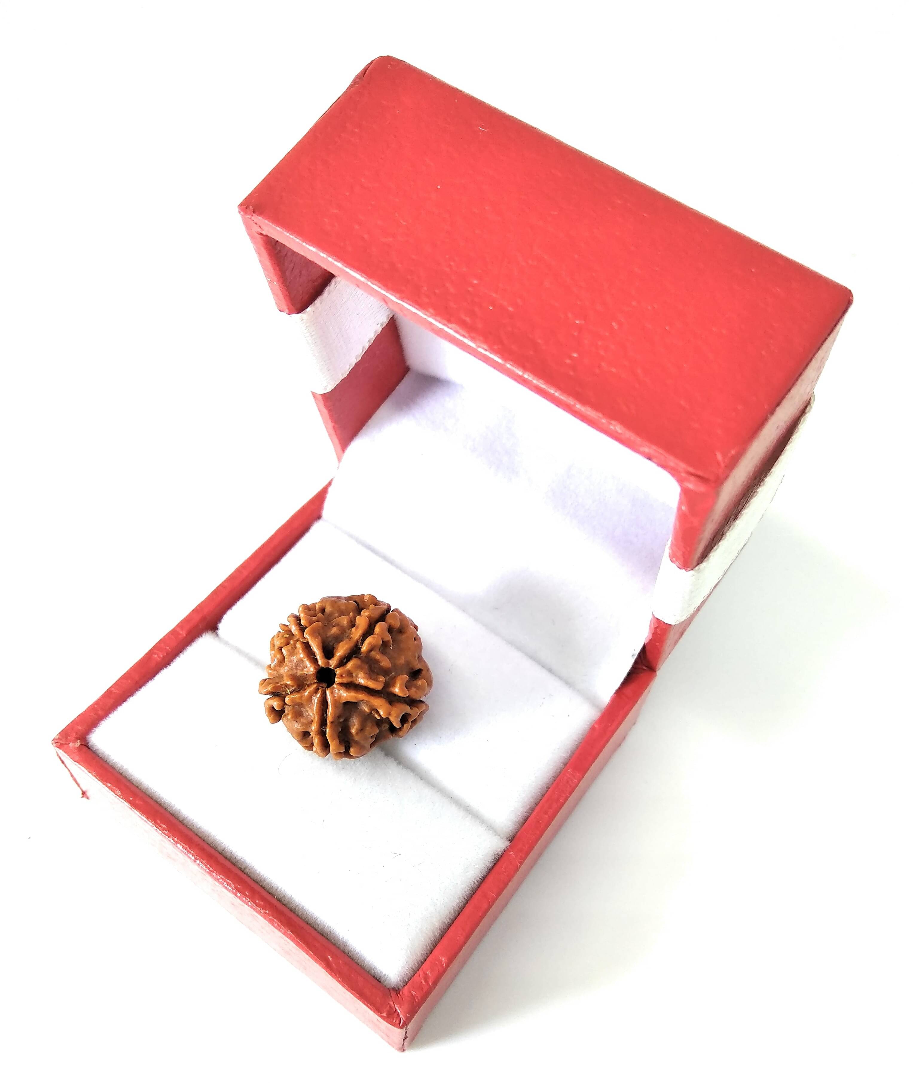     			YASH GEMS Rudraksha Pendant ( Pack of 1 )