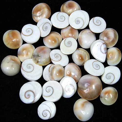 YASH GEMS Vastu Showpiece 8 cm - Pack of 1 YASH GEMS Vastu Showpiece 8 cm - Pack of 1