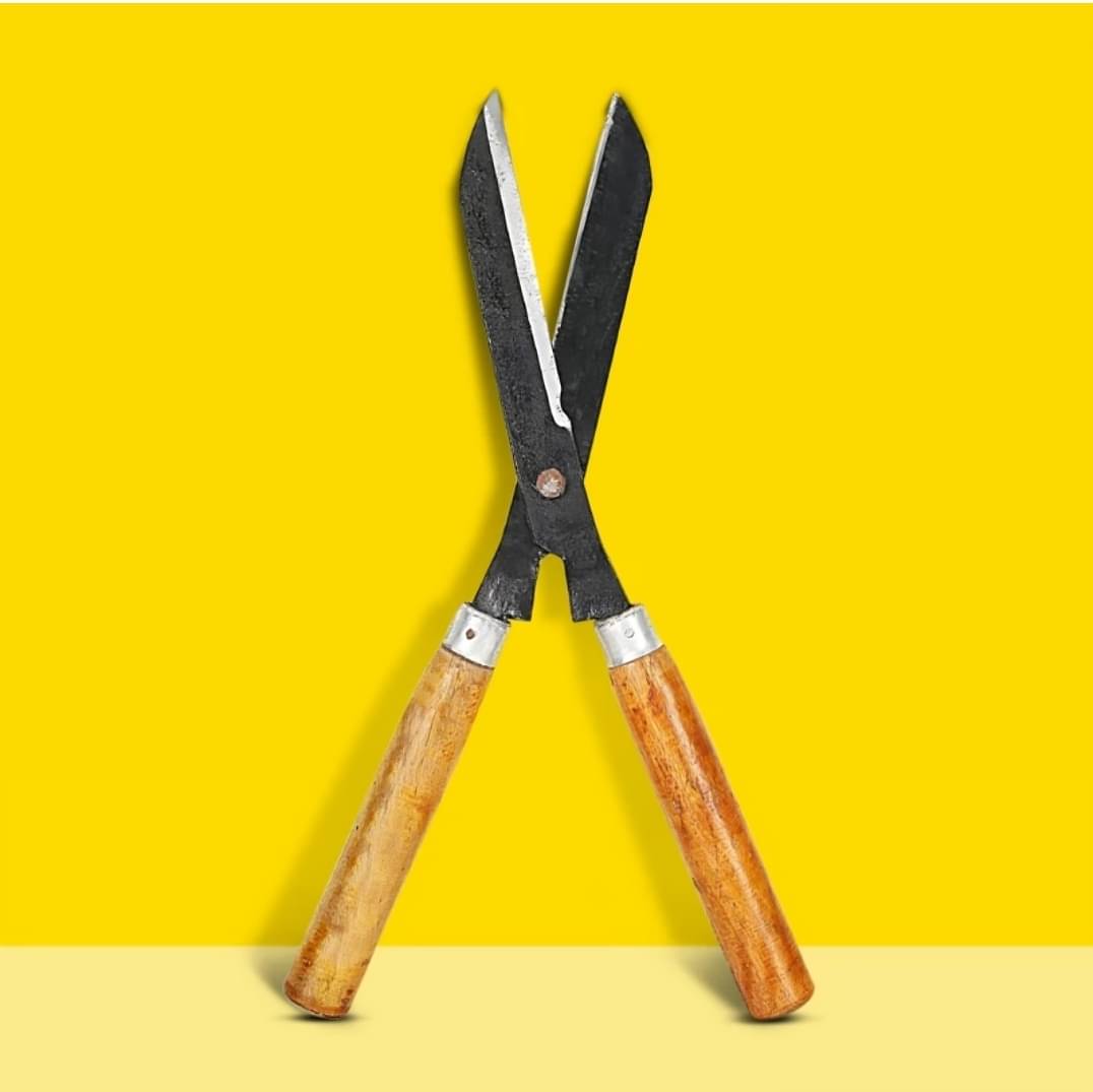 SAS TOOLS Garden Shear ( Set of 1 ) SAS TOOLS Garden Shear ( Set of 1 )