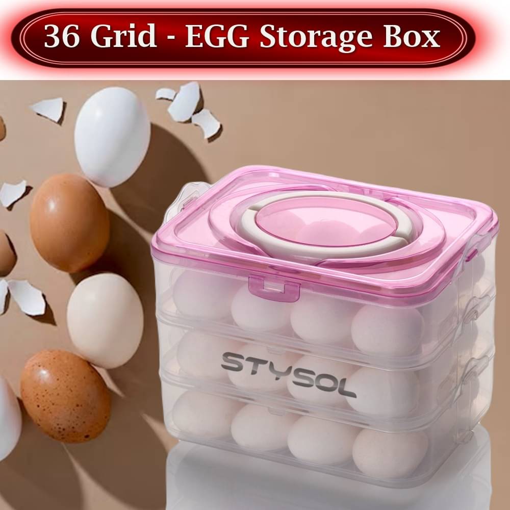     			Stysol Egg Container Plastic White Egg Container ( Set of 1 )